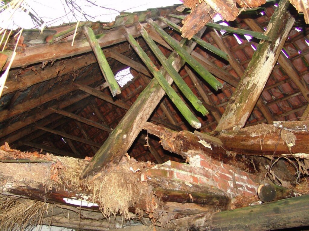 Loft Conversion Nightmares & Horror Stories
